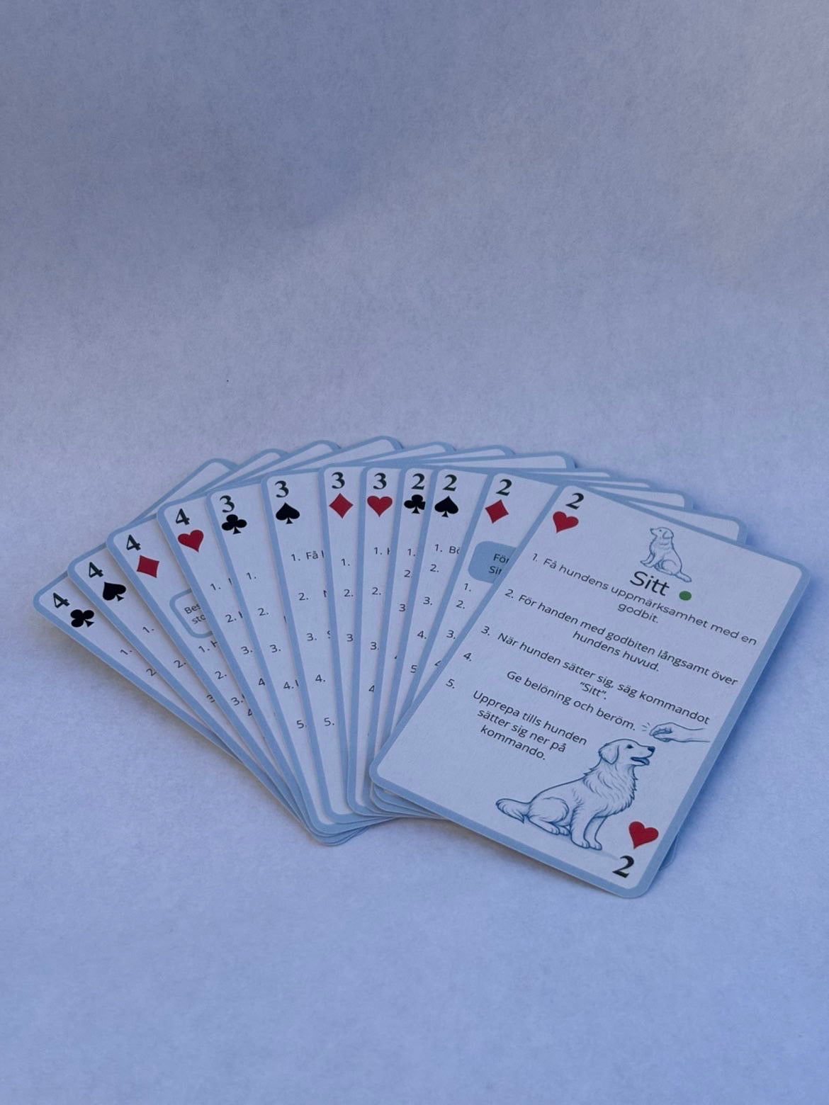 Petalia  - Trick & Tass | Förbeställning*