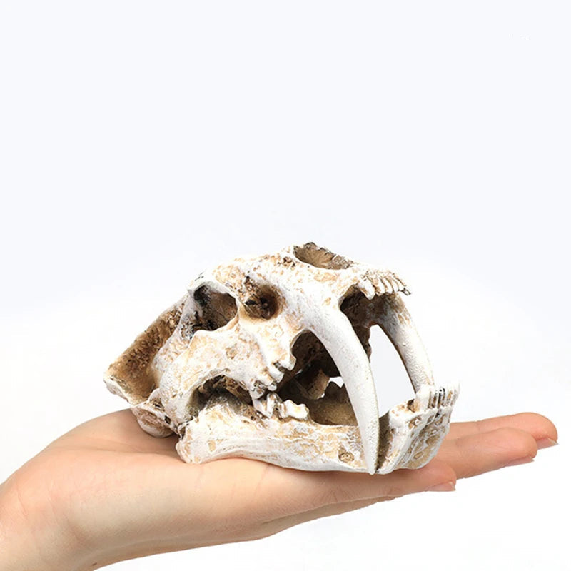 Akvarium dekoration skelett