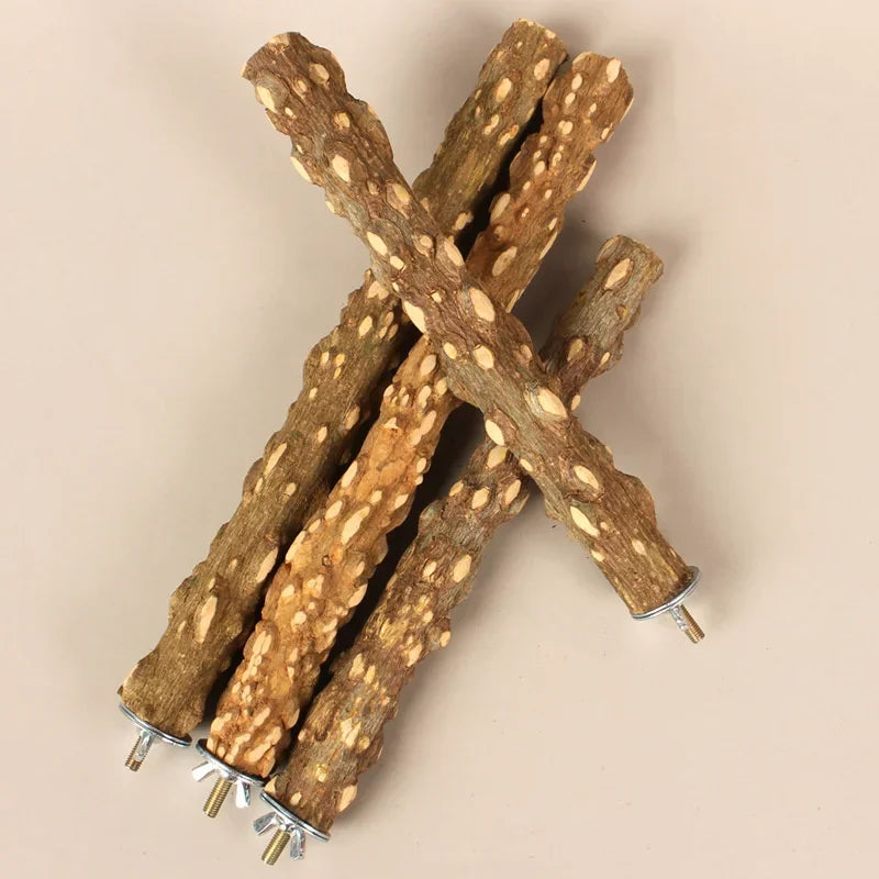 Sittpinne för Fåglar