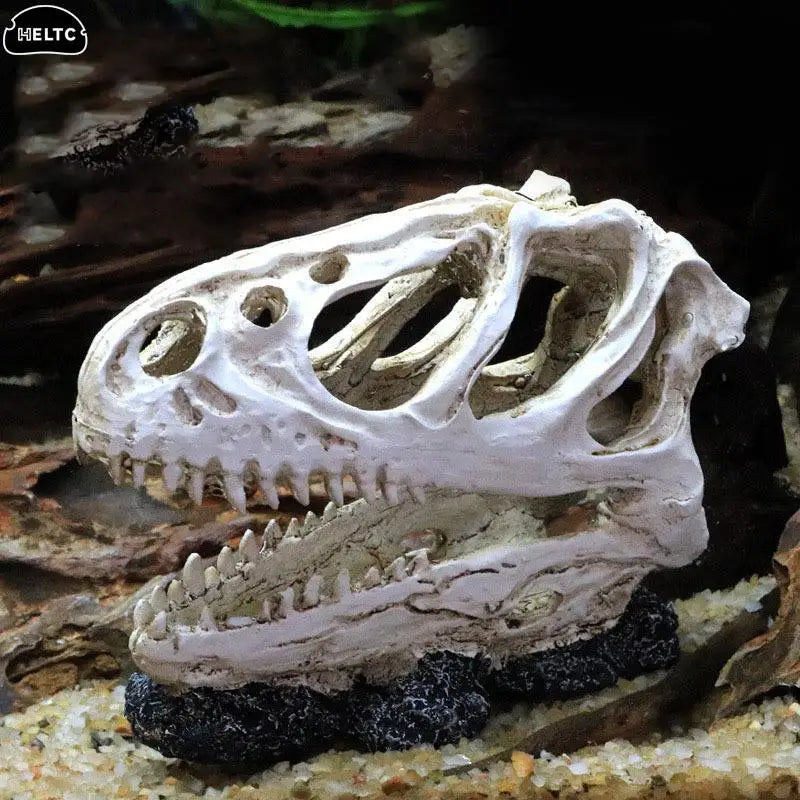 Akvarium dekoration skelett