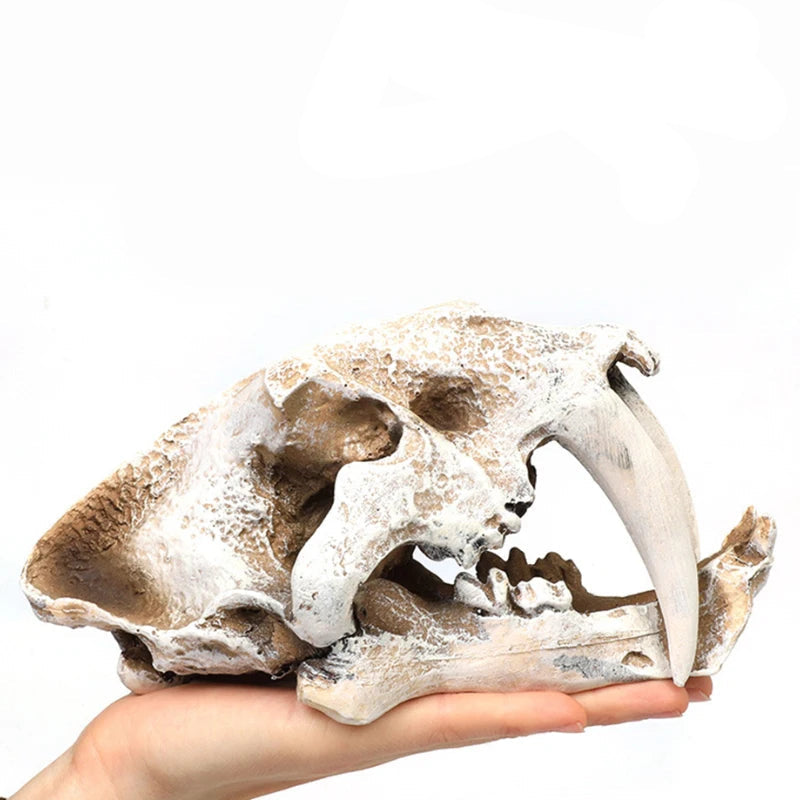 Akvarium dekoration skelett