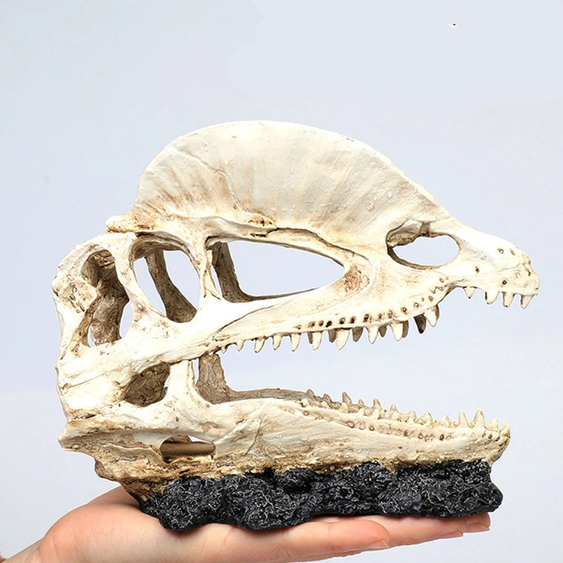 Akvarium dekoration skelett