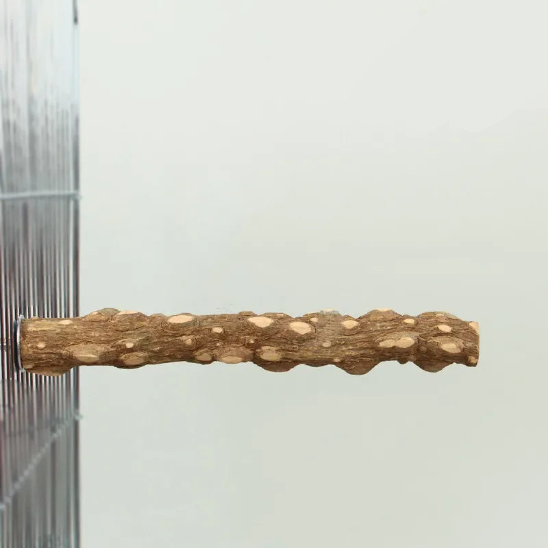 Sittpinne för Fåglar