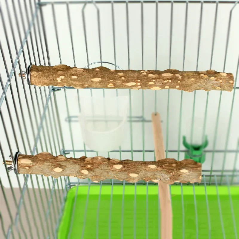 Sittpinne för Fåglar