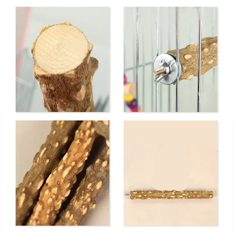 Sittpinne för Fåglar