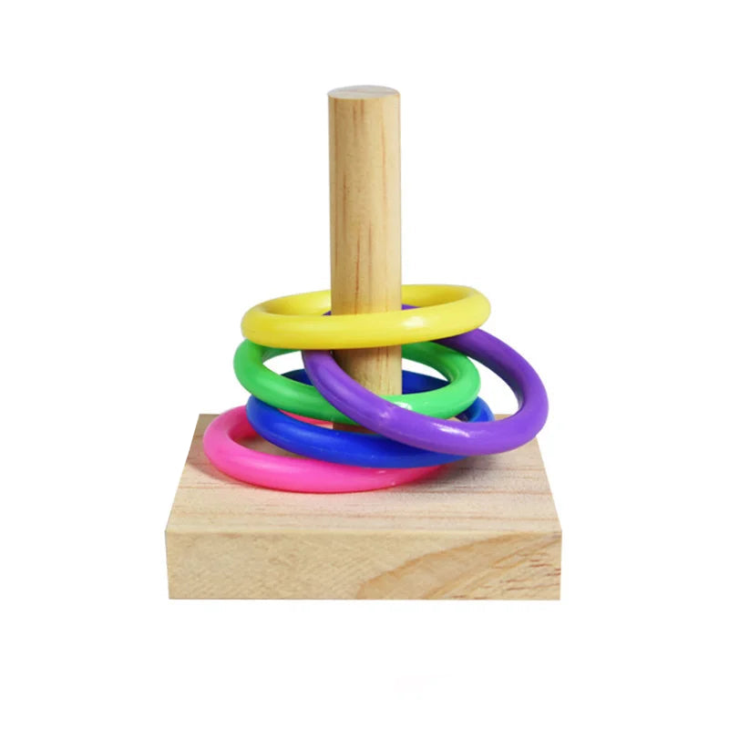 Intelligensleksak för Fåglar