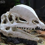 Akvarium dekoration skelett